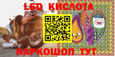 СК Донской