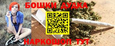 хмурый Дубна
