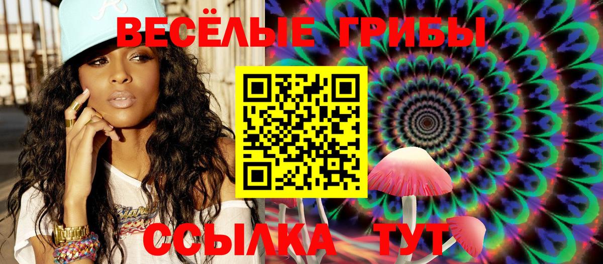 Псилоцибиновые грибы Cubensis Можайск