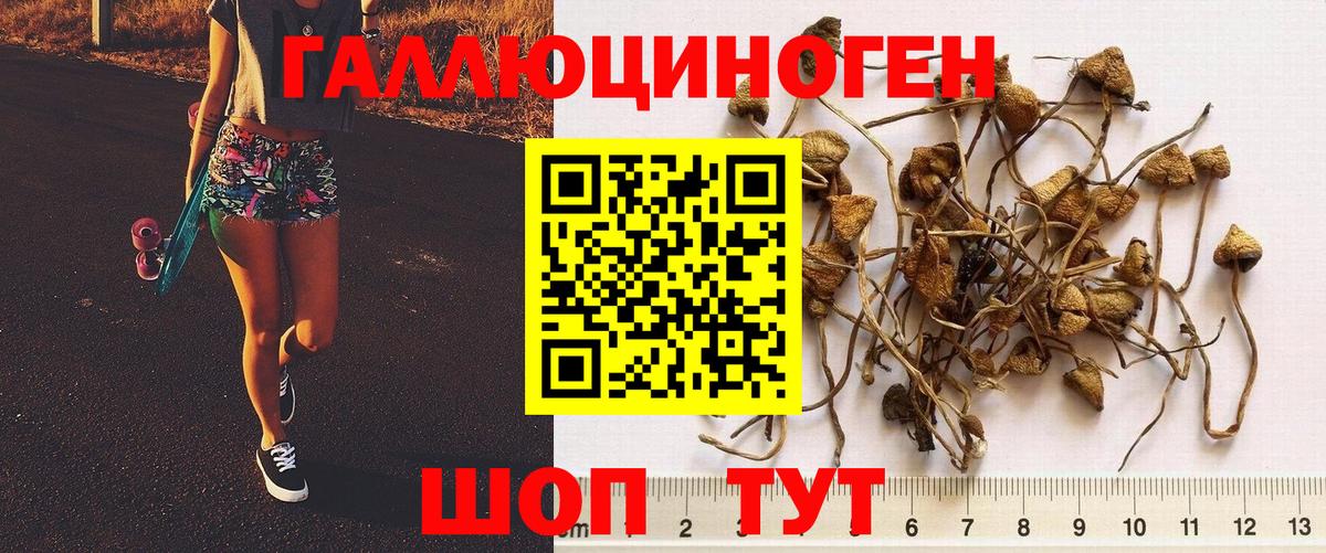Можайск  Галлюциногенные грибы GOLDEN TEACHER  Вход с VPN 